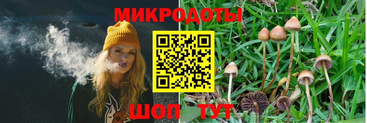 Новоалександровск  Псилоцибиновые грибы GOLDEN TEACHER  Вход с VPN 